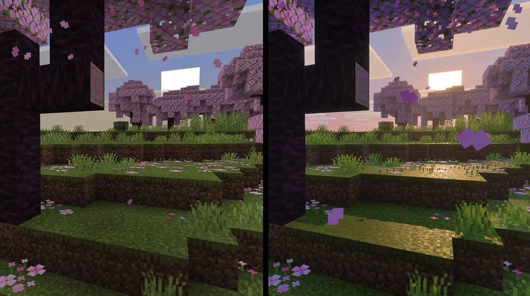 image preview(placeholder)