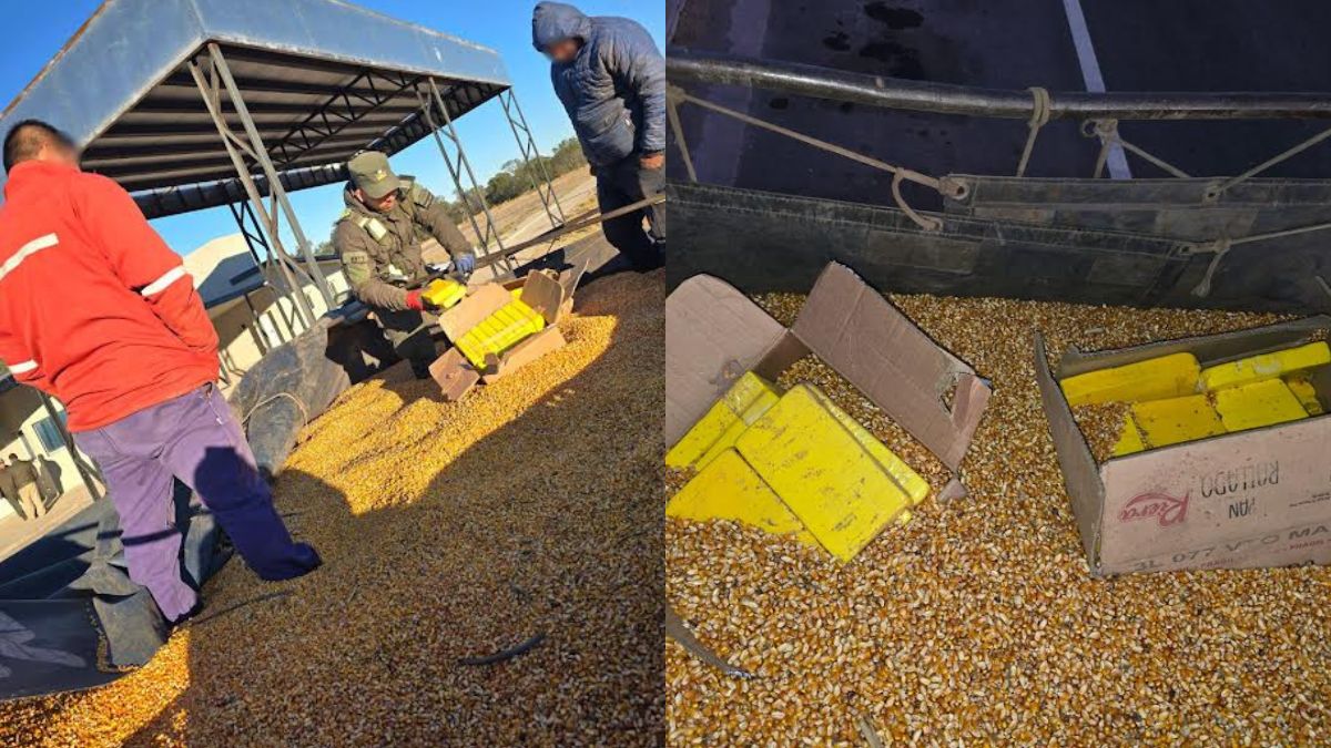 Detuvieron a un hombre con 44 kilos de cocaína ocultos en un camión de maíz