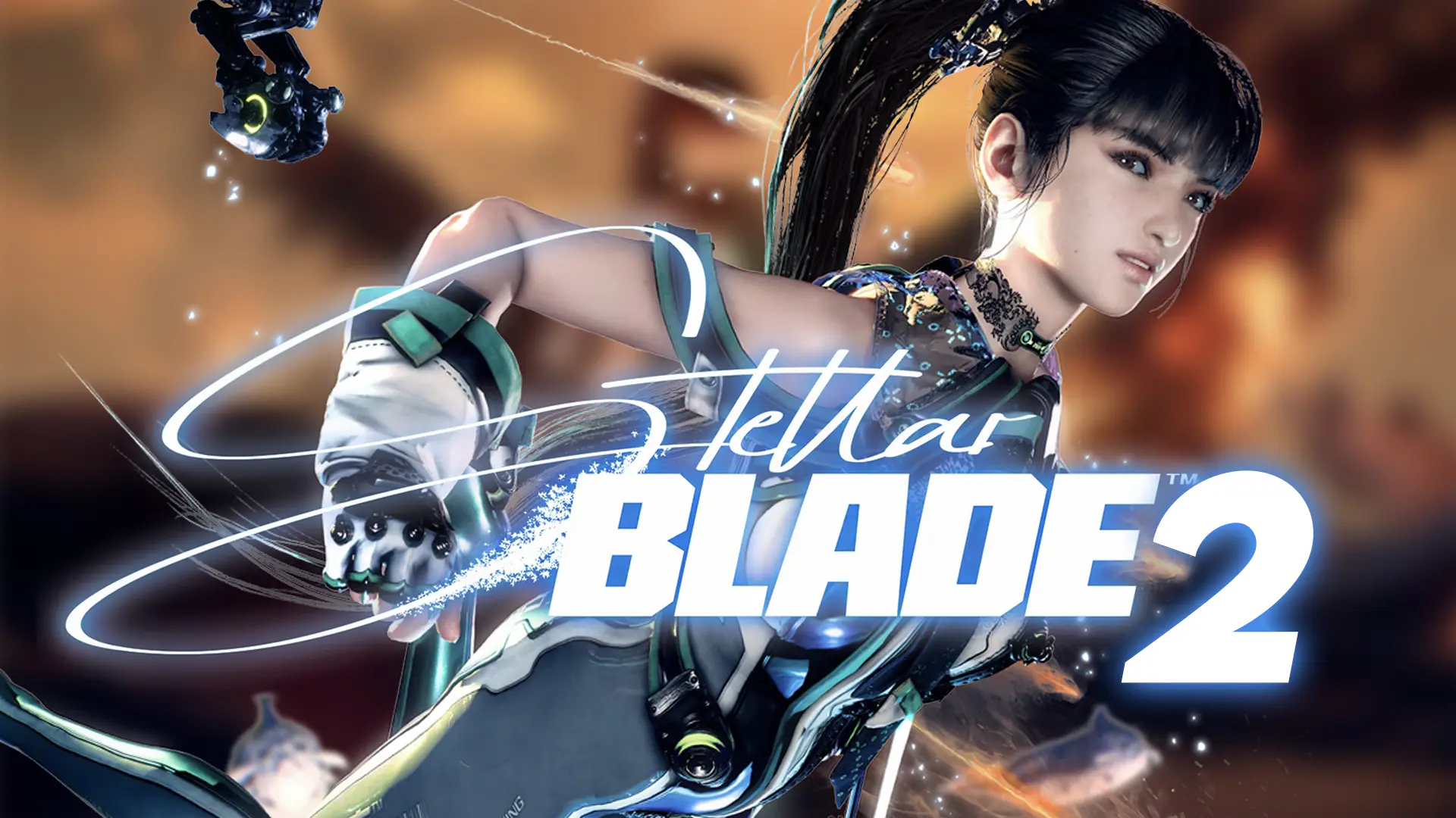 image preview(placeholder)