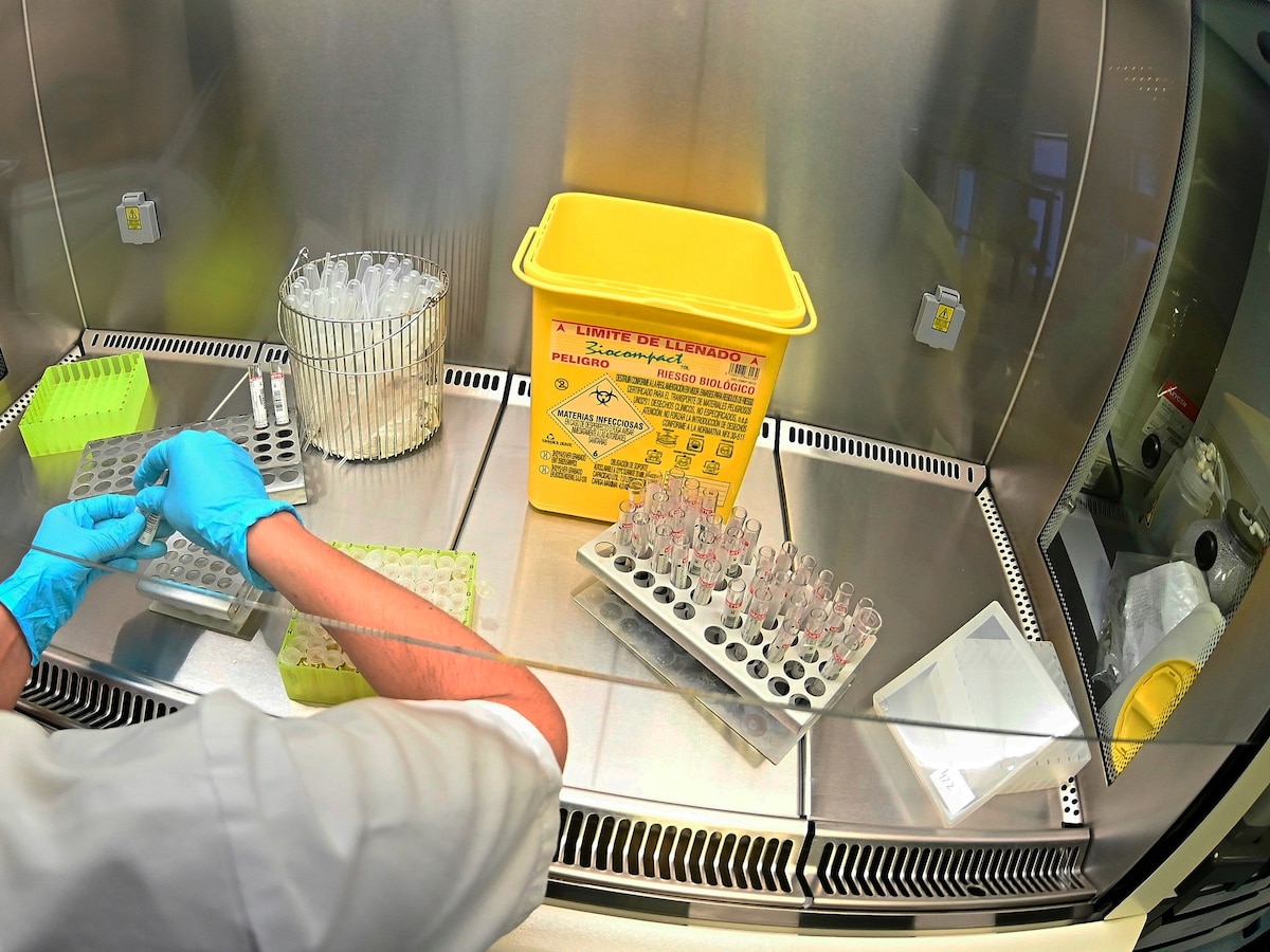 image preview(placeholder)