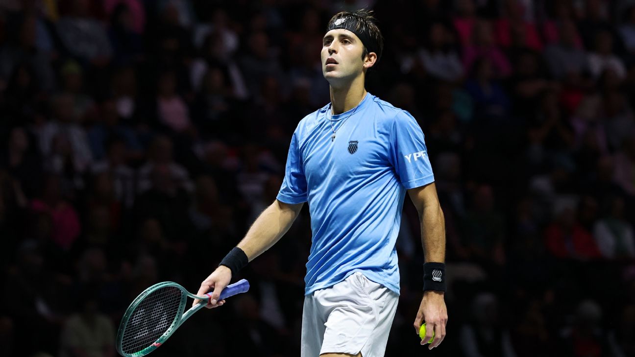 image preview(placeholder)