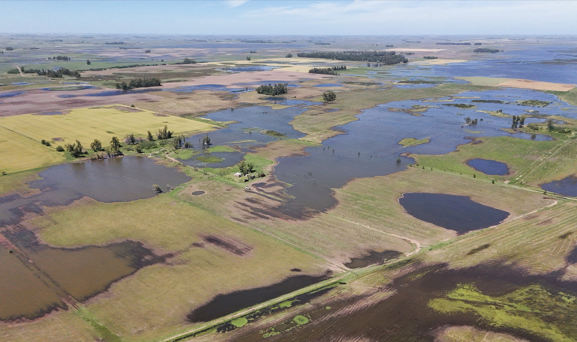 image preview(placeholder)