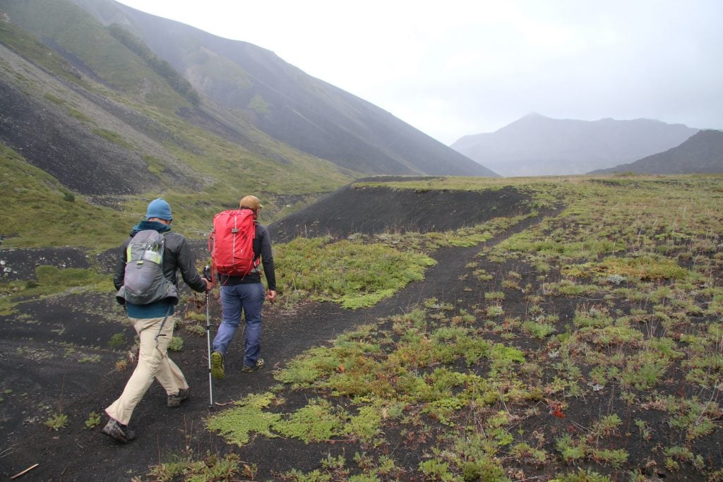 image preview(placeholder)