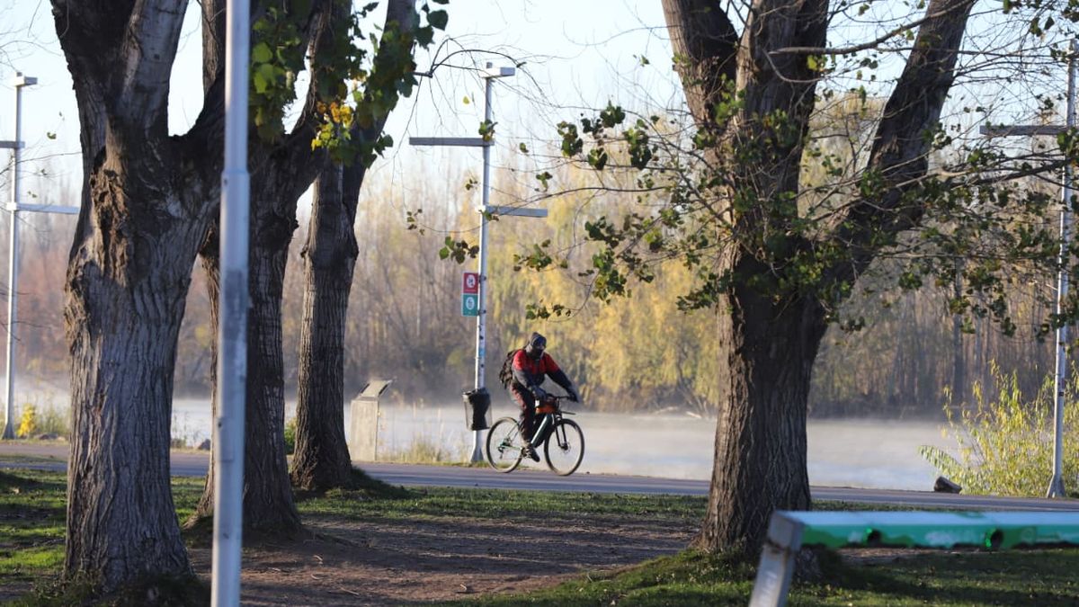 Sábado frío en Neuquén: 14 grados de día y ráfagas nocturnas de 31 km/h