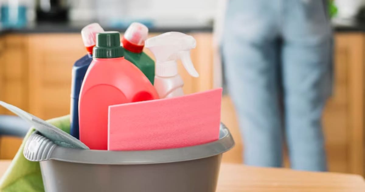 Nuevo recibo de sueldo digital para empleados de casas particulares